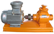 直联式液氨泵(YB型)液化石油气泵